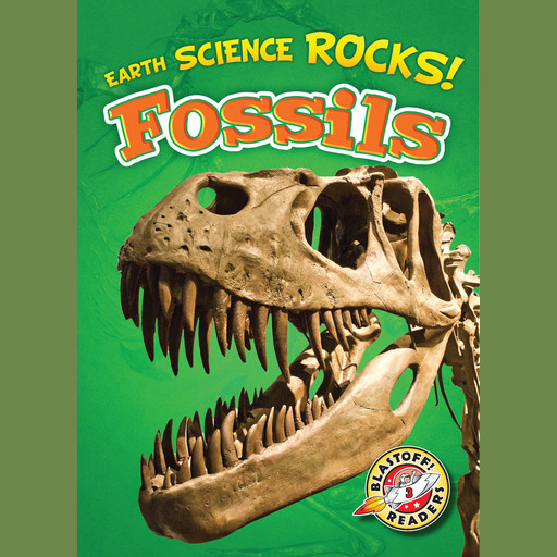 Fossils, Chris Bowman