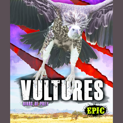 Vultures, Nathan Sommer