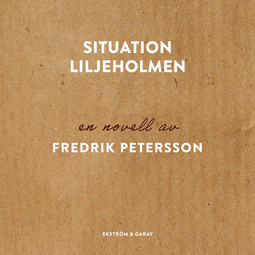Situation Liljeholmen, Fredrik Petersson