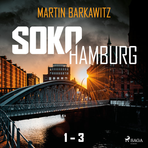 Soko Hamburg 1-3, Martin Barkawitz