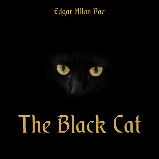 the black cat story online