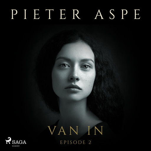 Van In - Episode 2, Pieter Aspe