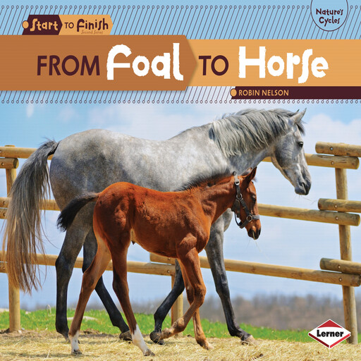 From Foal to Horse, Robin Nelson