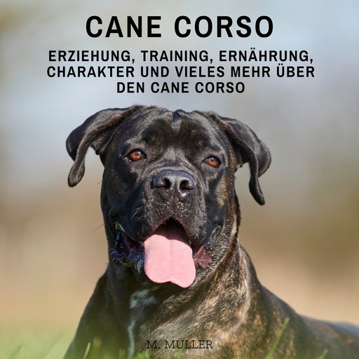 Cane Corso, Müller