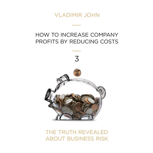 How to increase company profits by reducing costs, Vladimir John