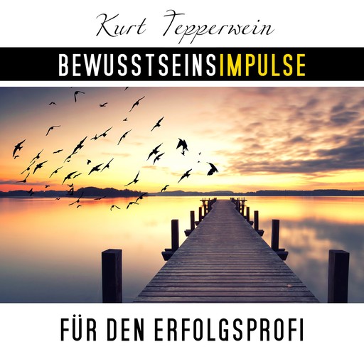 Bewusstseinsimpulse für den Erfolgsprofi, Kurt Tepperwein