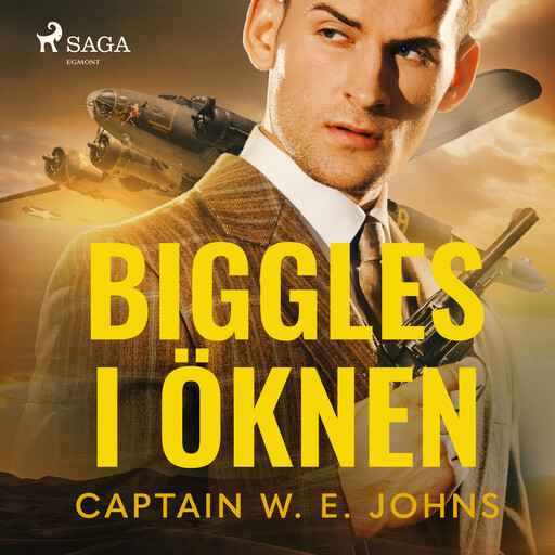Biggles i öknen, W.E. Johns
