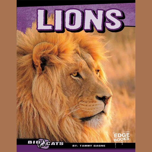 Lions, Tammy Gagne