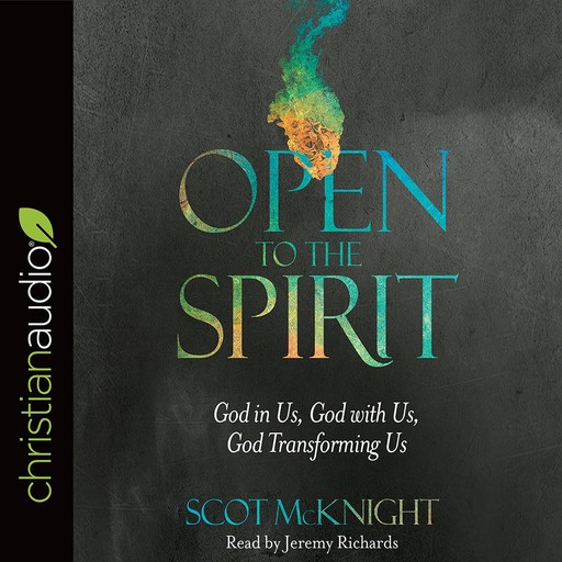 Open to the Spirit, Scot McKnight