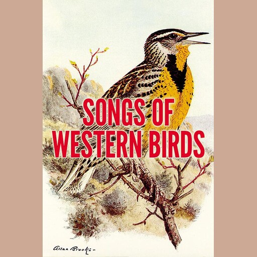 Songs of Western Birds, Donald J. Borror
