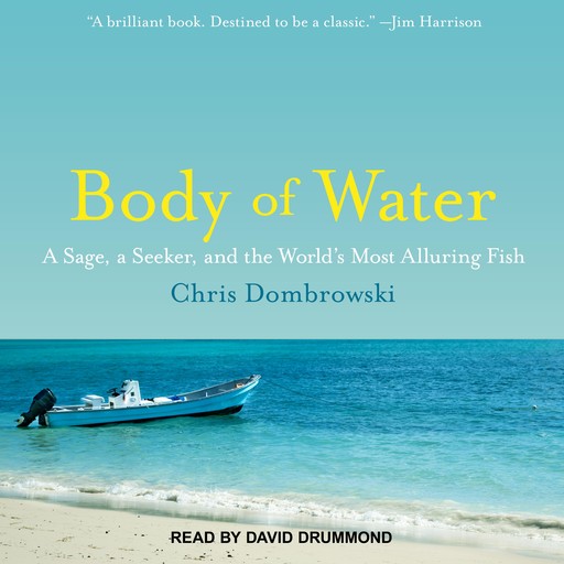 Body of Water, Chris Dombrowski