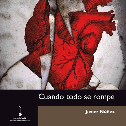 Cuando todo se rompe (Completo), Javier Núñez