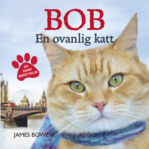 Bob : en ovanlig katt, James Bowen