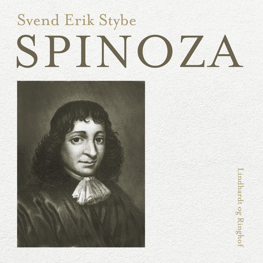 Spinoza, Svend Erik Stybe