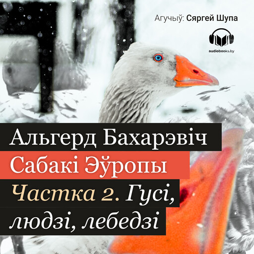Сабакі Эўропы. Частка 2, Альгерд Бахарэвіч