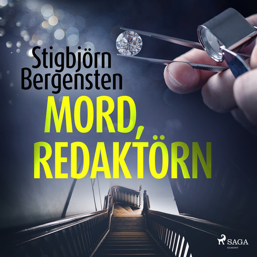 Mord, redaktörn, Stigbjörn Bergensten