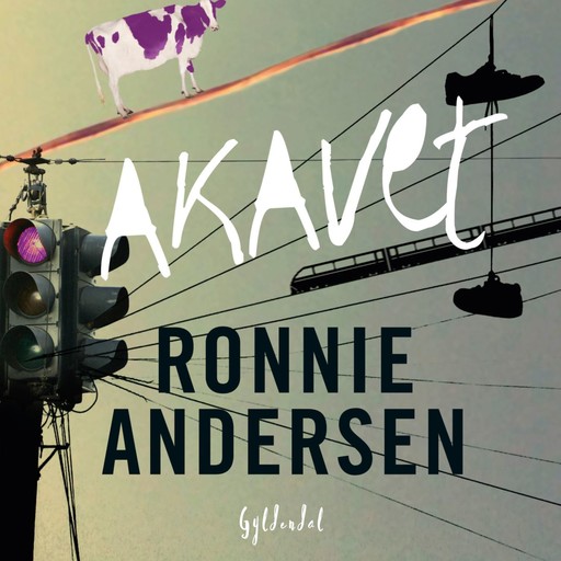 Akavet, Ronnie Andersen