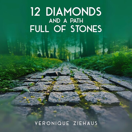 12 Diamonds And A Path Full Of Stones, Veronique Ziehaus