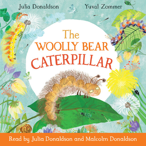 The Woolly Bear Caterpillar, Julia Donaldson