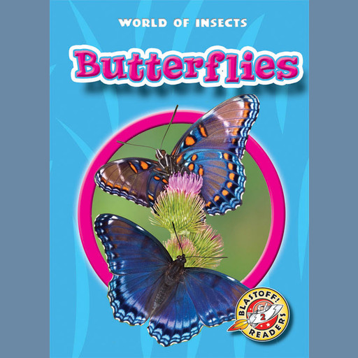 Butterflies, Martha Rustad