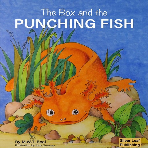 The Box and the Punching Fish, MarkW.T. Beal