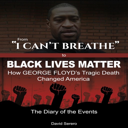 From 'I Can't Breathe' to 'Black Lives Matter': How George Floyd's Tragic Death Changed America, David Serero