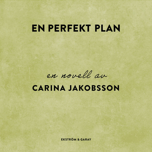 En perfekt plan, Carina Jakobsson