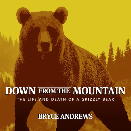 Down from the Mountain, Bryce Andrews