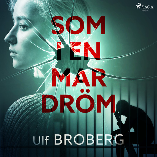 Som i en mardröm, Ulf Broberg