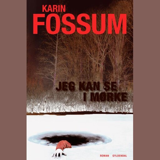 Jeg kan se i mørke, Karin Fossum