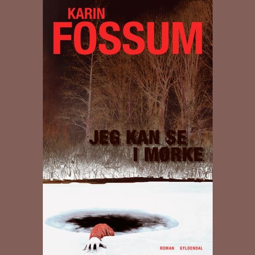 Jeg kan se i mørke, Karin Fossum