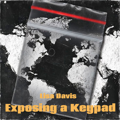 Exposing a Keypad, Lisa Davis
