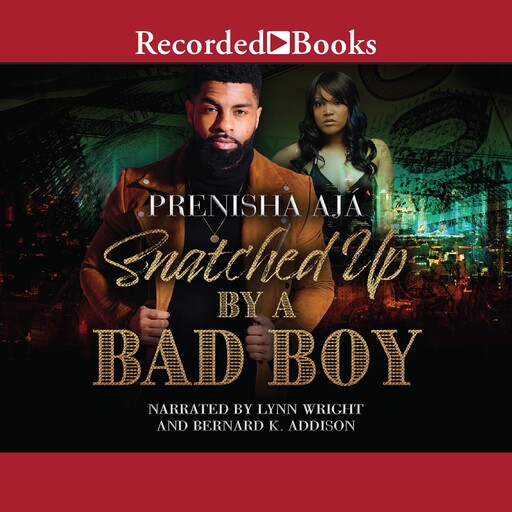 Snatched Up by a Bad Boy, Prenisha Aja