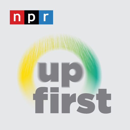 BONUS: DIY Mosul, NPR