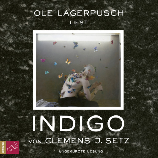Indigo (Ungekürzt), Clemens Setz