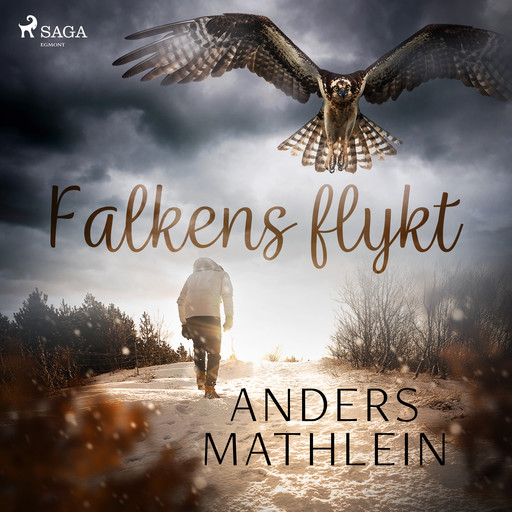 Falkens flykt, Anders Mathlein