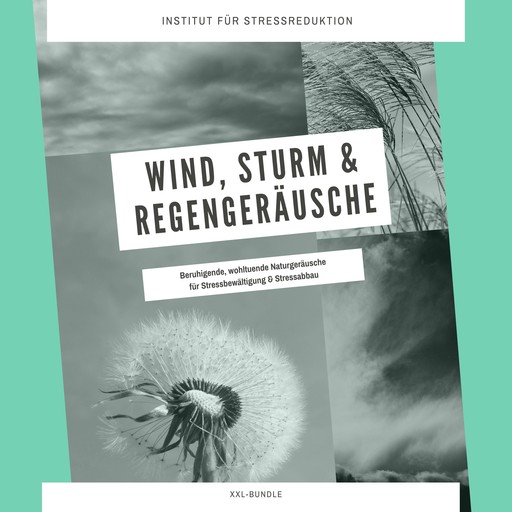 Wind, Sturm & Regengeräusche: Beruhigende, wohltuende Naturgeräusche für Stressbewältigung & Stressabbau, Institut für Stressabbau