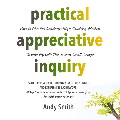 Practical Appreciative Inquiry, Andy Smith