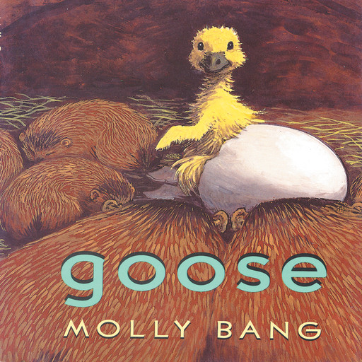 Goose, Molly Bang