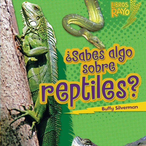 ¿Sabes algo sobre reptiles? (Do You Know about Reptiles?), Buffy Silverman