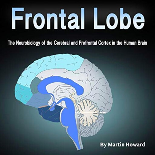 Frontal Lobe, Martin Howard