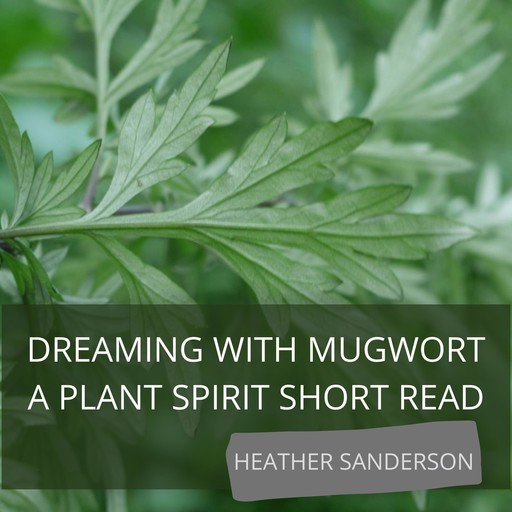 Dreaming with Mugwort, Heather Sanderson