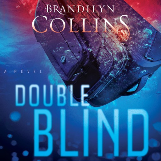 Double Blind, Brandilyn Collins