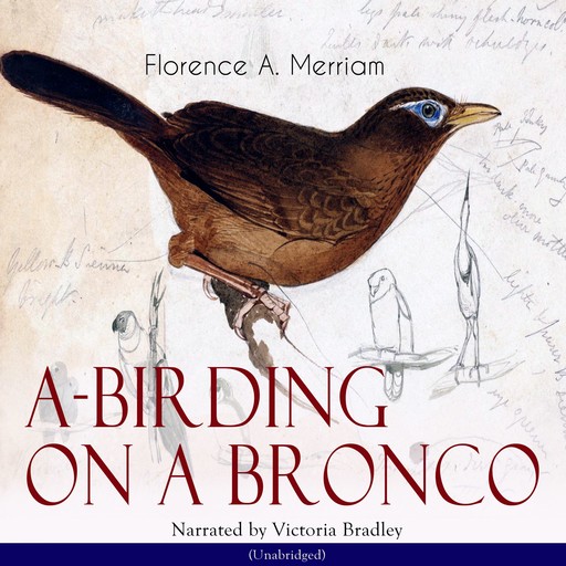 A-Birding on a Bronco, Florence A.Merriam