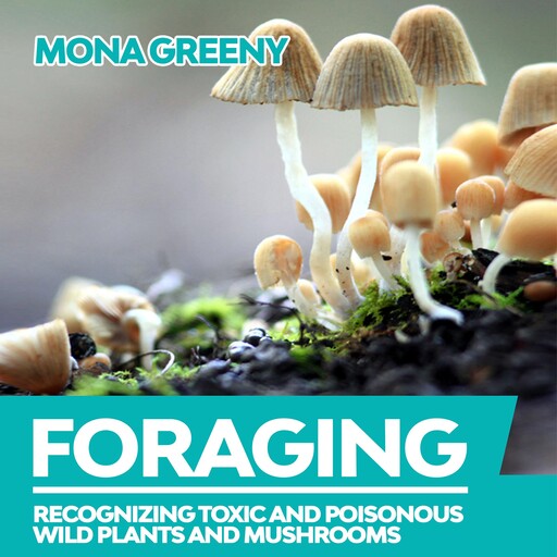 Foraging, Mona Greeny