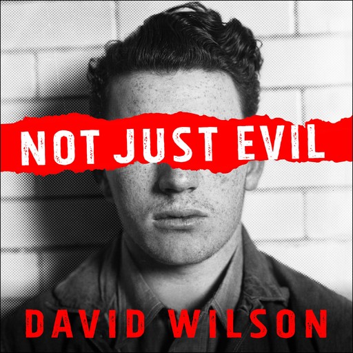 Not Just Evil, David Wilson