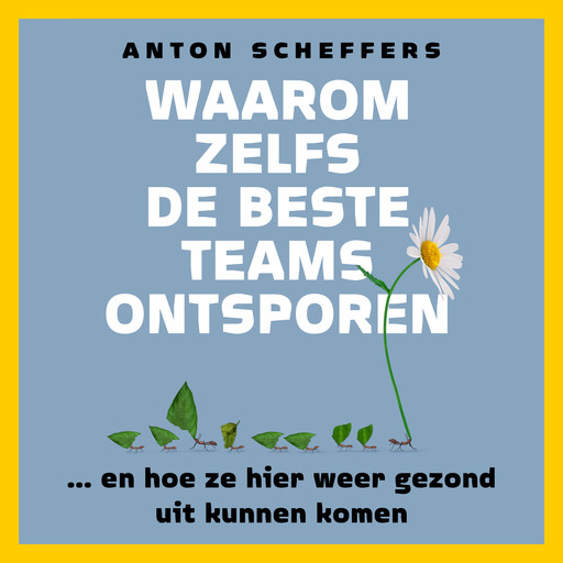 Waarom zelfs de beste teams ontsporen, Anton Scheffers