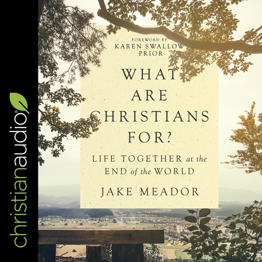 What Are Christians For?, Jake Meador