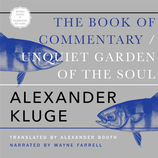 The Book of Commentary (Unabridged), Alexander Kluge