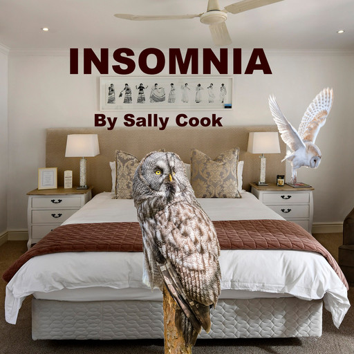 Insomnia, Sally Cook